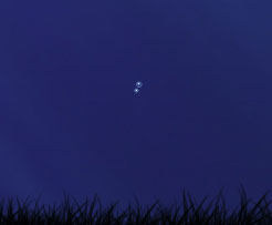 image 21