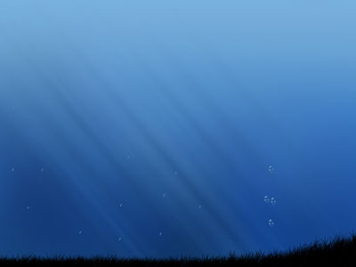 image 23