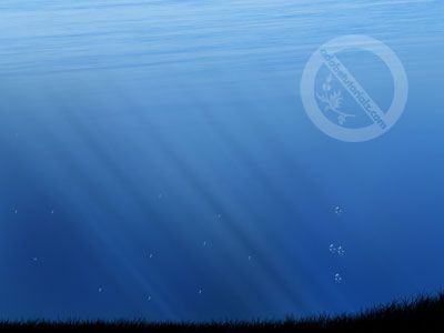 desktop wallpaper underwater. Underwater Free Desktop