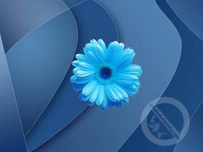 Floral Abstract Wallpaper Tutorial: Final Result (Click to enlarge)