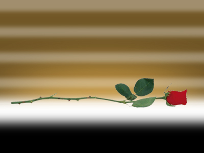 image 27