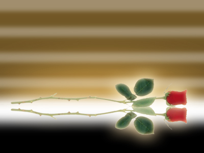 image 32