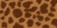 Leopard Fur Tutorial: Final Result