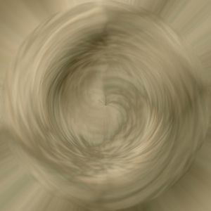 image 29