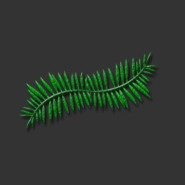 Fern Leaves Tutorial: Final Result