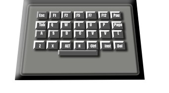 image 31