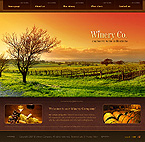 Website template example