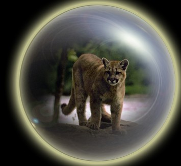 Turn a Flare or Bright Spot into an Orb Bubble or Magic Ball Tutorial: Final Result