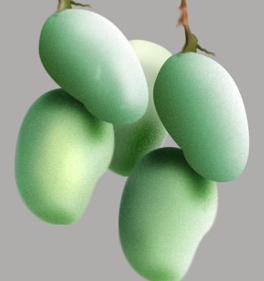image 16