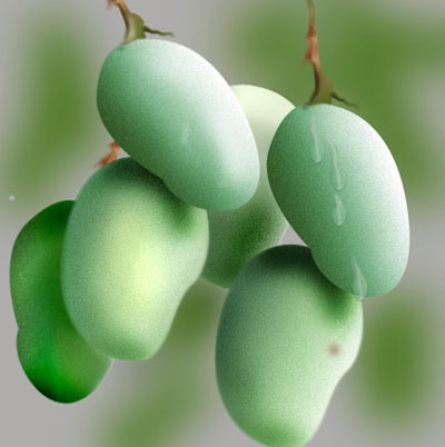 Bunch of Green Sweet Mango. Author's URL: Photoshopinc.com