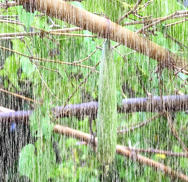 Add Rain Effect to a Photograph or Image Tutorial: Final Result