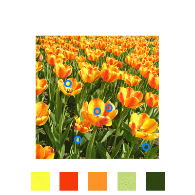 Color Palette Tutorial: Final Result