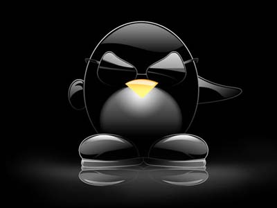 Linux Operating System Desktop Background Tutorial: Final Result (Click to enlarge)