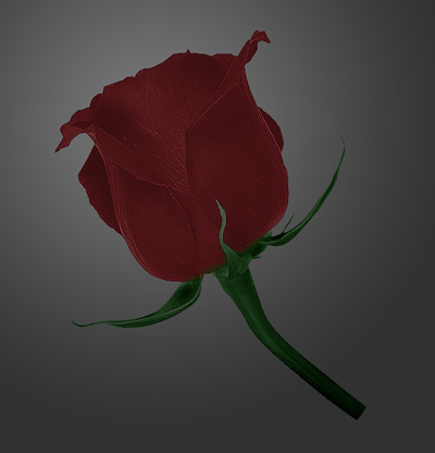 Transform Brushes in Masterpieces Tutorial: Final Result (Click to enlarge)