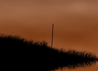 image 30