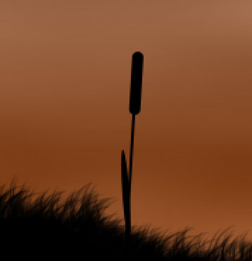 image 32