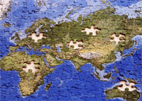 Dynamics of Dynamic Site Mapping