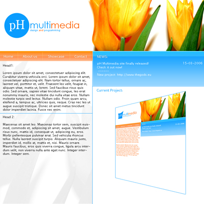 Professional Portfolio Layout Tutorial: Final Result (Click to enlarge)