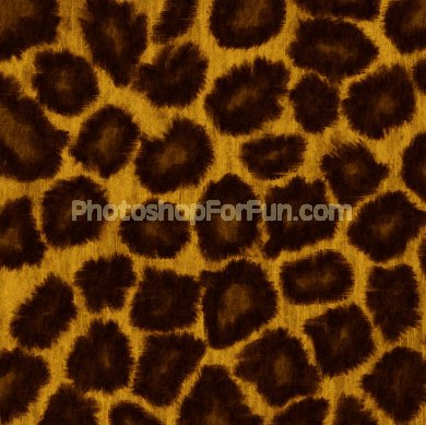 Leopard Skin Texture Tutorial: Final Result