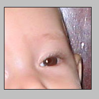 Eliminating Red Eye Tutorial: Final Result