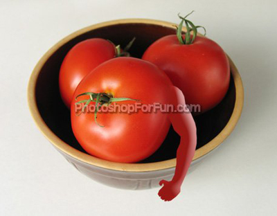 image 7