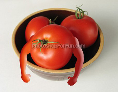 image 8