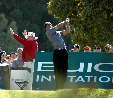 can find Tiger Woods just tiger woods swinging. can find Tiger Woods just