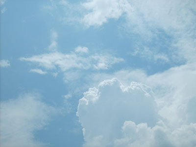 image 27
