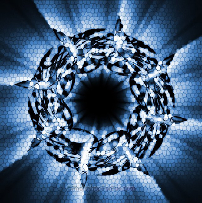 Creating an Abstract Background Effect Tutorial: Final Result (Click to enlarge)