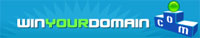 Selling Your Domain. To Auction or Not to Auction?