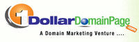 The Domain Selling Business