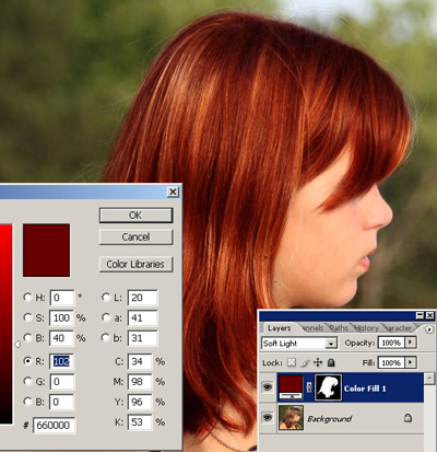 Hair Color Changer on Hair Color Examples   Get Domain Pictures   Getdomainvids Com