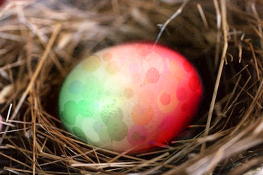 Spotted Easter Egg Tutorial: Final Result