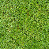 Making Grass Pattern Tutorial: Final Result