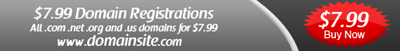 Professional Domain Site Adbanner Tutorial: Final Result