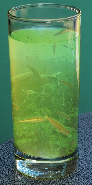 Ocean in Glass Tutorial: Final Result