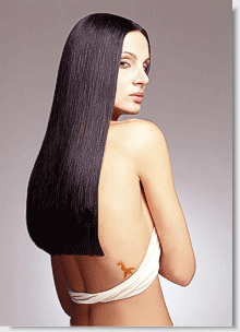an optimized animated GIF an optimized animated GIF