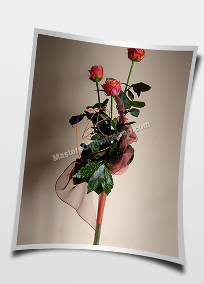 Creating a Realistic Photo Effect with Soft Shadows Tutorial: Final Result