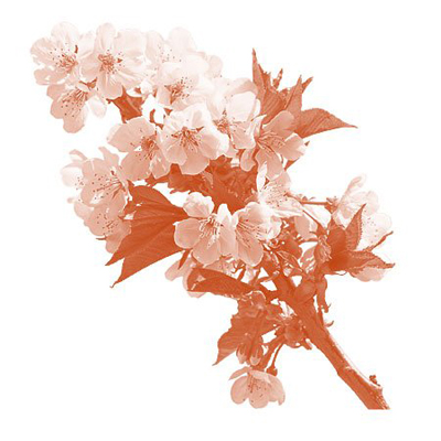 Make your own Brush Tutorial: Final Result