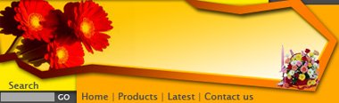 Elegant Website Header Tutorial: Final Result