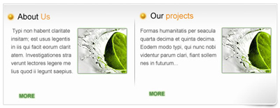 Web 2.0 Clean Layout Tutorial: Final Result (Click to enlarge)