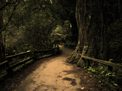 Optimizing Photo Tutorial: Final Result (Click to enlarge)