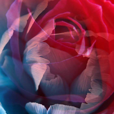 Double Image Tutorial: Final Result (Click to enlarge)