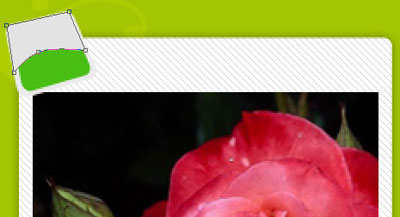 image 43