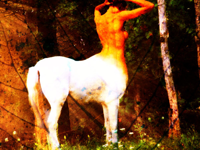Photoshop Yourself into a Centaur Tutorial: Final Result (Click to enlarge)