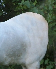 image 23