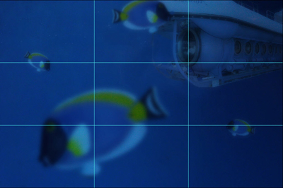 Create a Fun Underwater Scene in Photoshop Tutorial: Final Result (Click to enlarge)