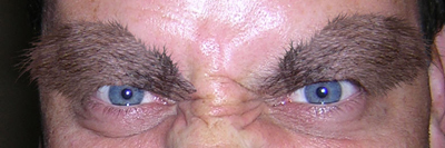 Click to enlarge