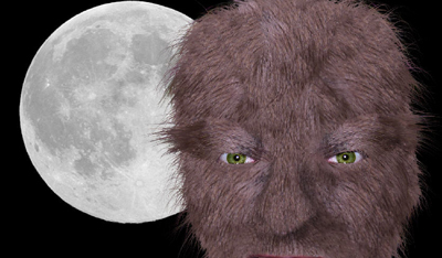 Click to enlarge
