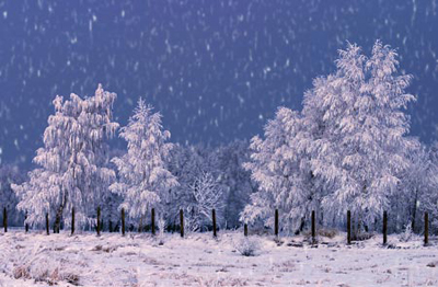Adding Snow to a Photo Tutorial: Final Result